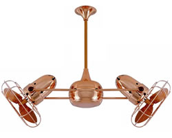 Double Ceiling Fans