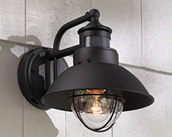 Motion Sensor and Dusk-to-Dawn Decorative Outdoor Lighting