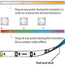 InvisiLED Pallette & Daylight to Sunset: Color Changing Tape Light